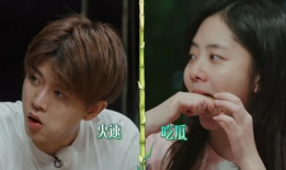 吃瓜爆料声音像白鹿版,吃瓜爆料声音疑似白鹿版，真相究竟如何？